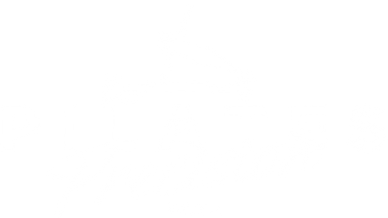 Pilates Precision